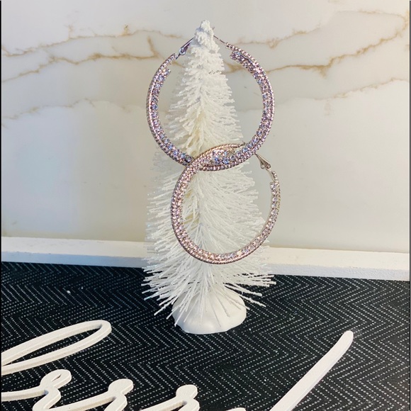 Hoop earrings with crystals NWT - Picture 2 of 4